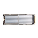HP SSD Intern 8C4X6AA