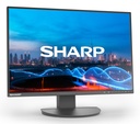 MultiSync DD-EA241W Black