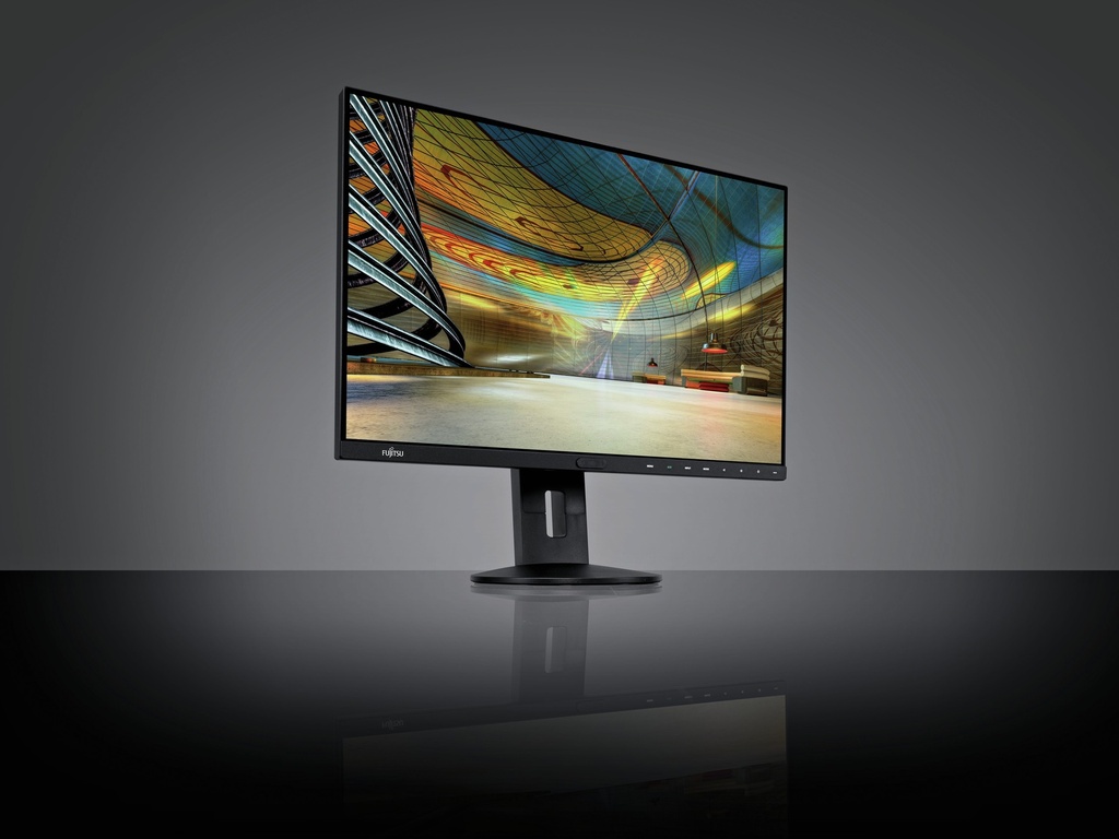 Fujitsu Monitor P24-8