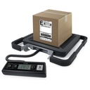 S100 SHIPPING SCALE 100KG
