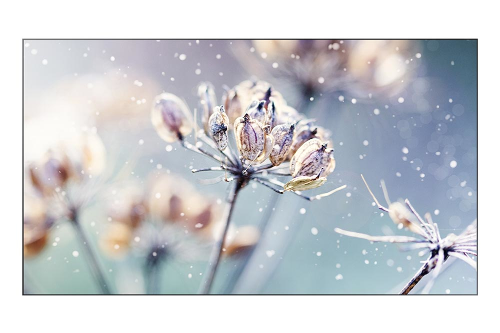 Samsung 46" Wide 16:9 VM46R-U 500nits