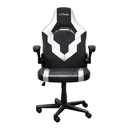 TRUST GXT703W RIYE GAMING CHAIR WHITE