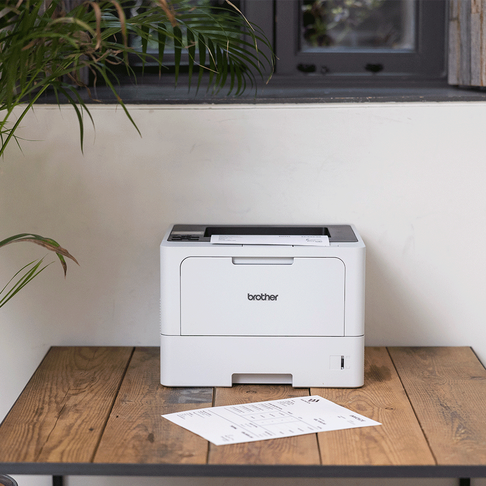 Brother Laser printer HL-L5210DN