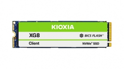 Kioxia SSD Intern KXG80ZNV1T02