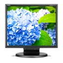 Nec Monitor 60005020