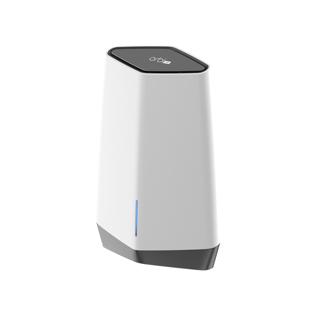 Netgear Routeur SXR80100EUS