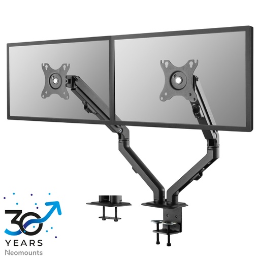 NewStar Flat Screen Desk Mount stand/gr