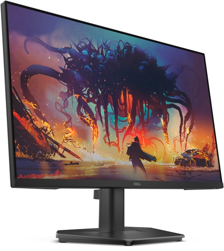 Dell Moniteur DELLSE2425HG