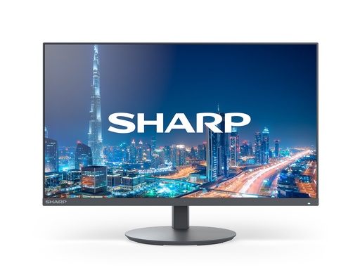 Nec Moniteur 60006221
