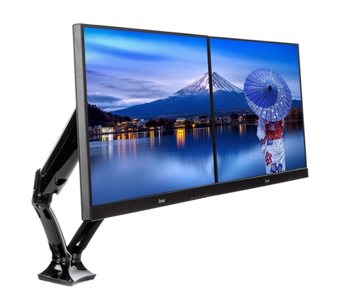 Iiyama Monitorstand DS3002C-B1